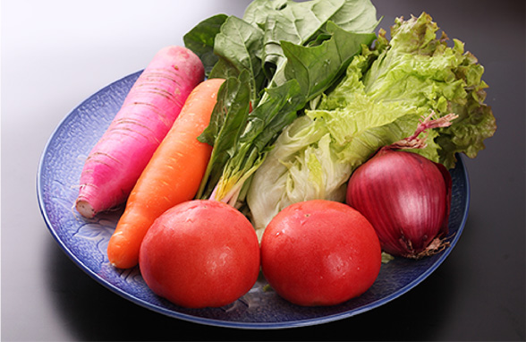 当館自家農園で有機栽培した採れたて野菜をお出ししています。