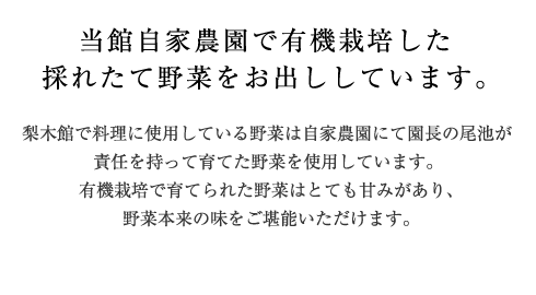 当館自家農園で有機栽培した採れたて野菜をお出ししています。