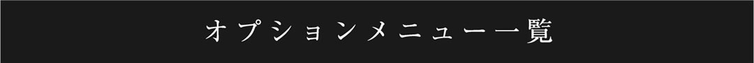 オプションメニュー一覧