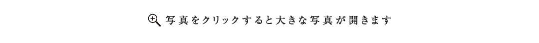 写真をクリックすると大きな写真が開きます。